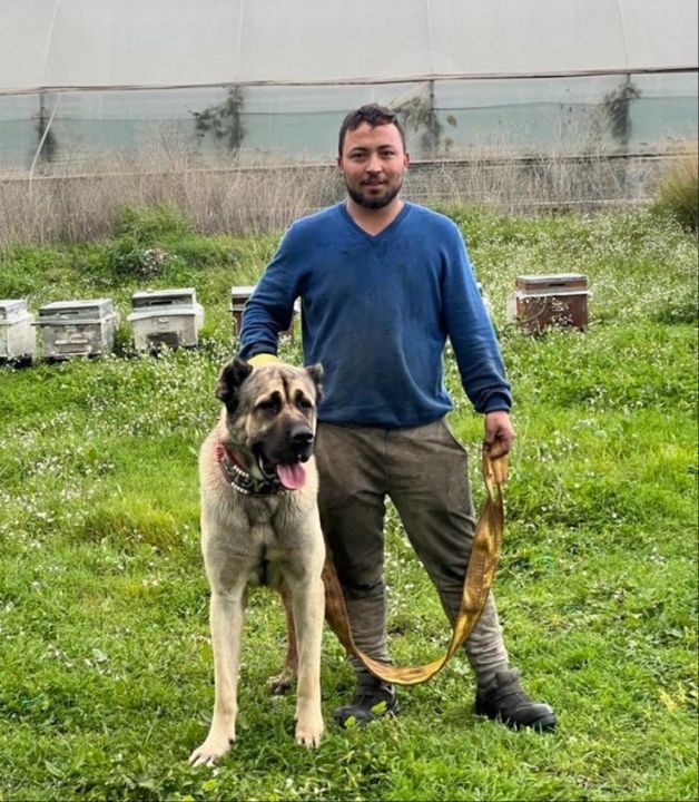 Denize atlayınca boynu kırılmıştı! 24 yaşındaki Yunus Gürdal'dan acı haber - 1. Resim