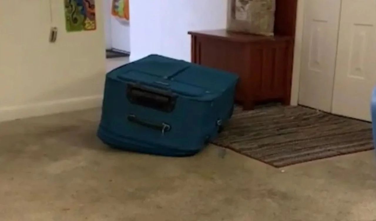 Erkek arkadaşını valizde boğdu! Savunması kan dondurdu