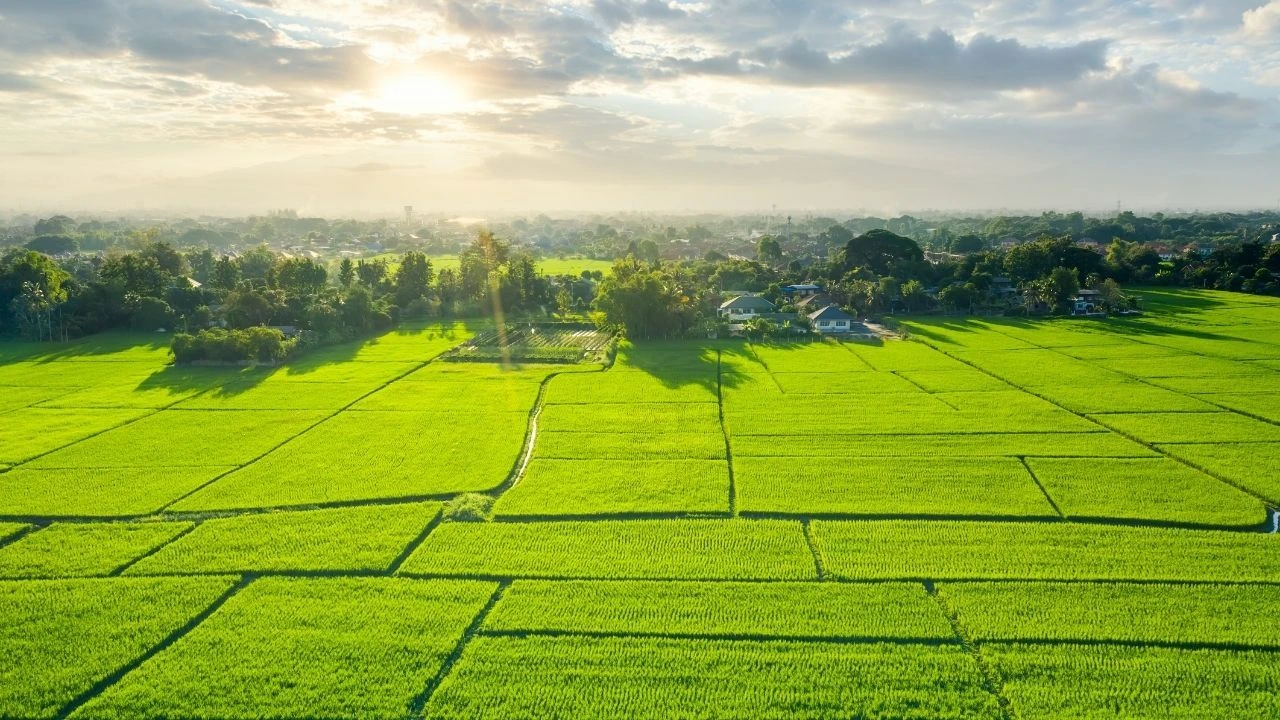 Milyarderlerin tarım arazisi ve arsa alımları hız kazandı! İşte onları çiftçiliğe çeken gerçek sebep: Tüm yatırım stratejiniz değişecek - 3. Resim