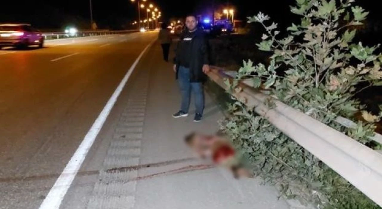 Başıboş köpeğe çarpmamak isterken dereye yuvarlandı - 2. Resim