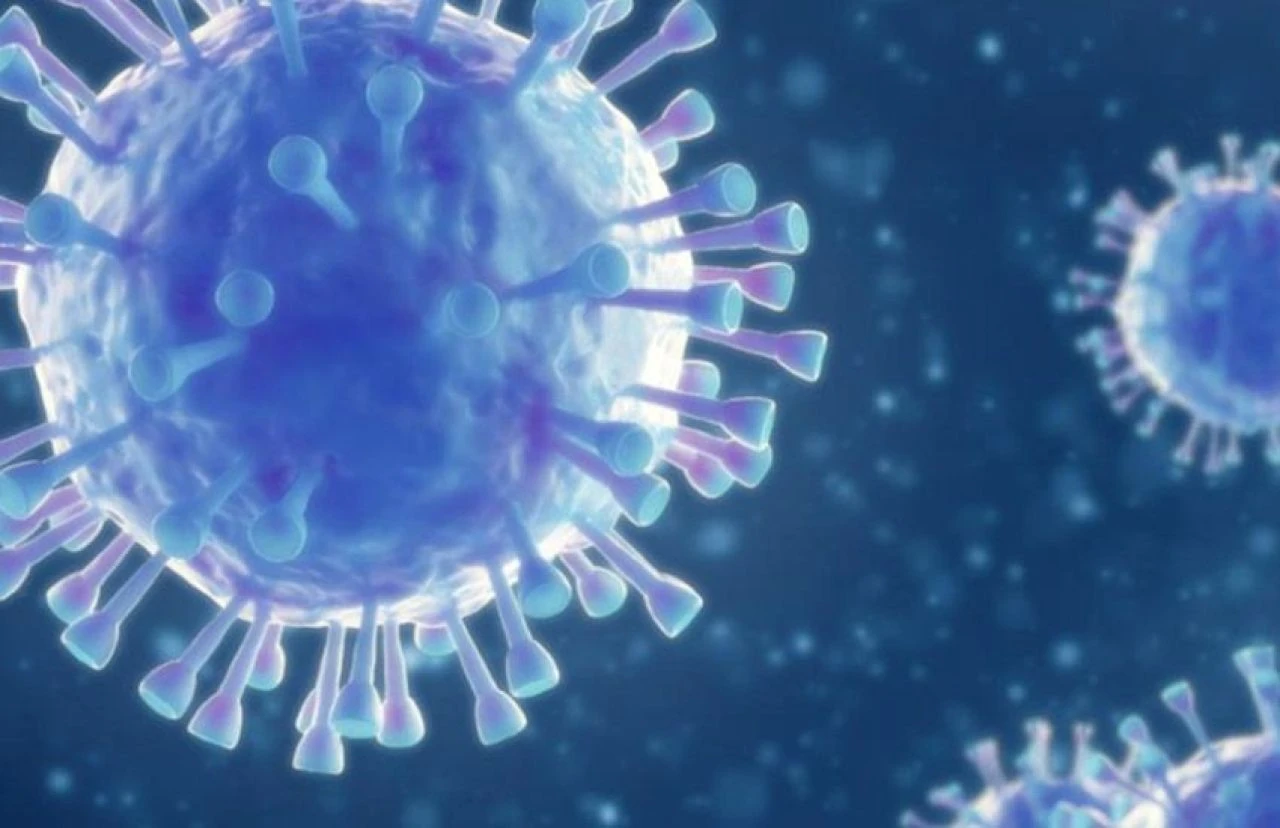 Bu kan grubu sahipleri dikkat! Covid-19'un yeni tehlikesi keşfedildi - 1. Resim