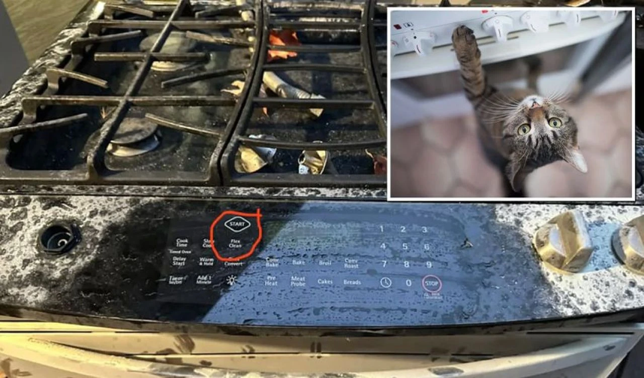 Fırın bir anda alev aldı faciadan kıl payı kurtuldular! Gizemli yangının sebebi ise teknik bir sorun değildi - 1. Resim