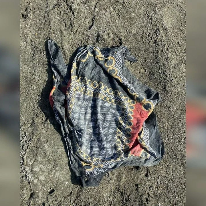 Van'da kaybolan Rojin Kabaiş'in son görüntüleri ortaya çıktı - 1. Resim