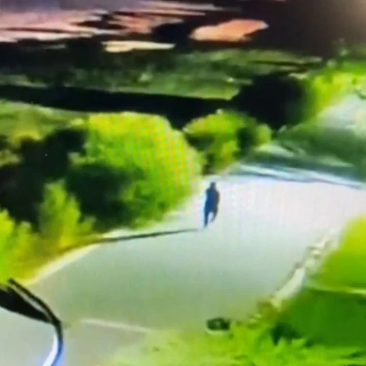 Rojin Kabaiş'in ölümündeki tüm sır İspanya'da çözülecek!