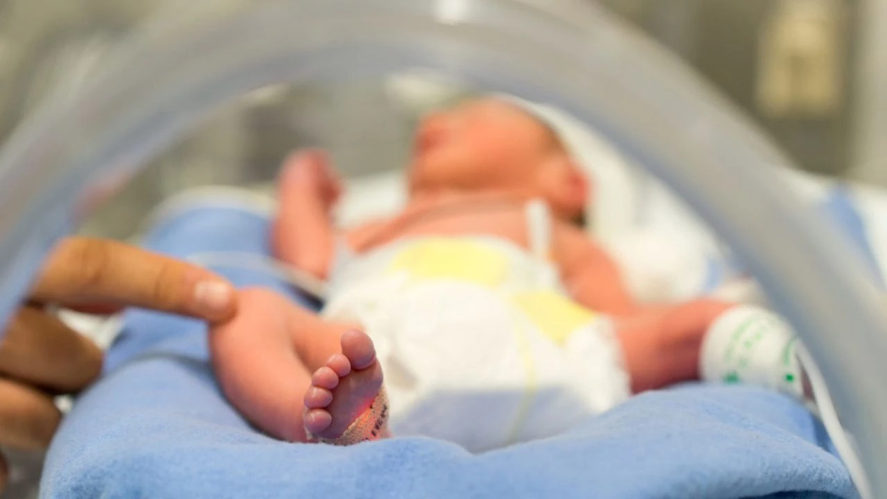 Hastane çetesinin savcıyı makamında tehdit ettiği anlar ortaya çıktı! "İçeridekini çıkarabildiğin kadar erken çıkar!"