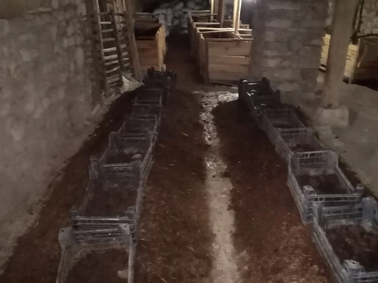 Şehirden sıkıldı, bilinmeyeni başardı! 12 milyon solucanla iki yılda 12 ton üretiyor - 1. Resim