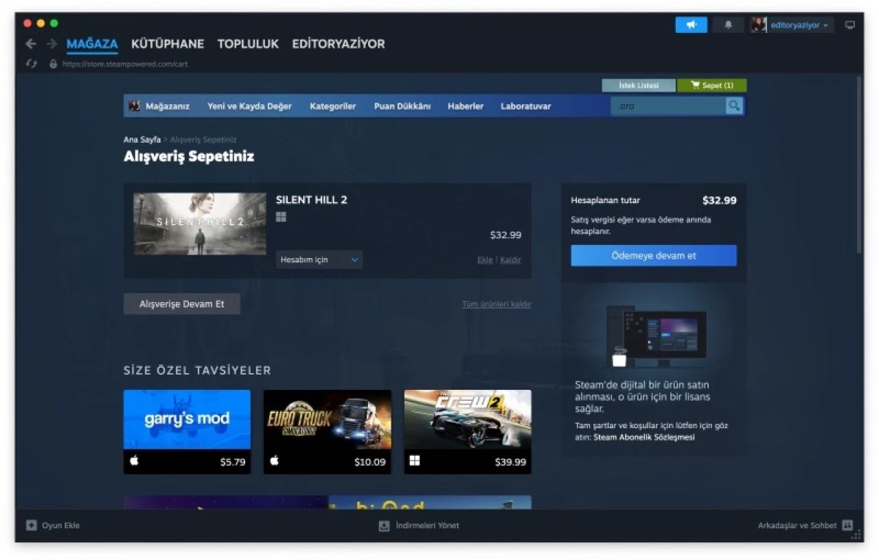 Steam'de yeni dönem başlıyor: Artık oyunları 'satın alamayacaksınız'