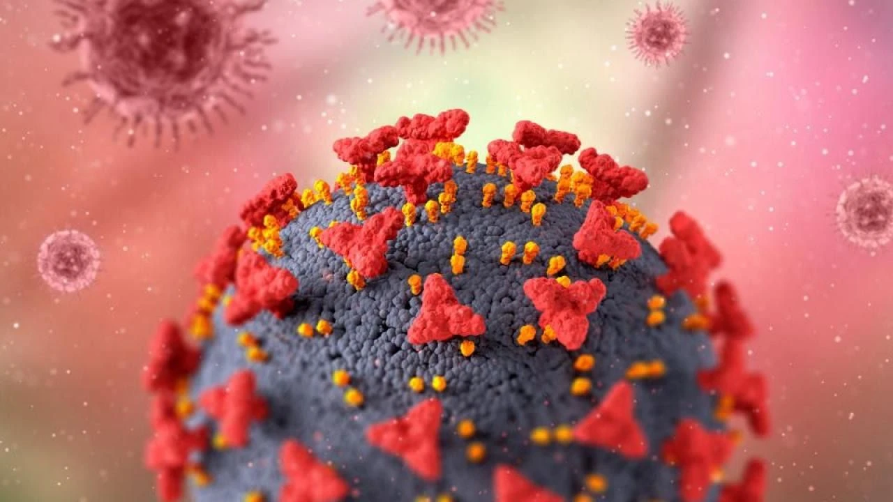 Yapay zeka, bilinmeyen virüsleri açığa çıkardı: 162 bin tane! - 2. Resim