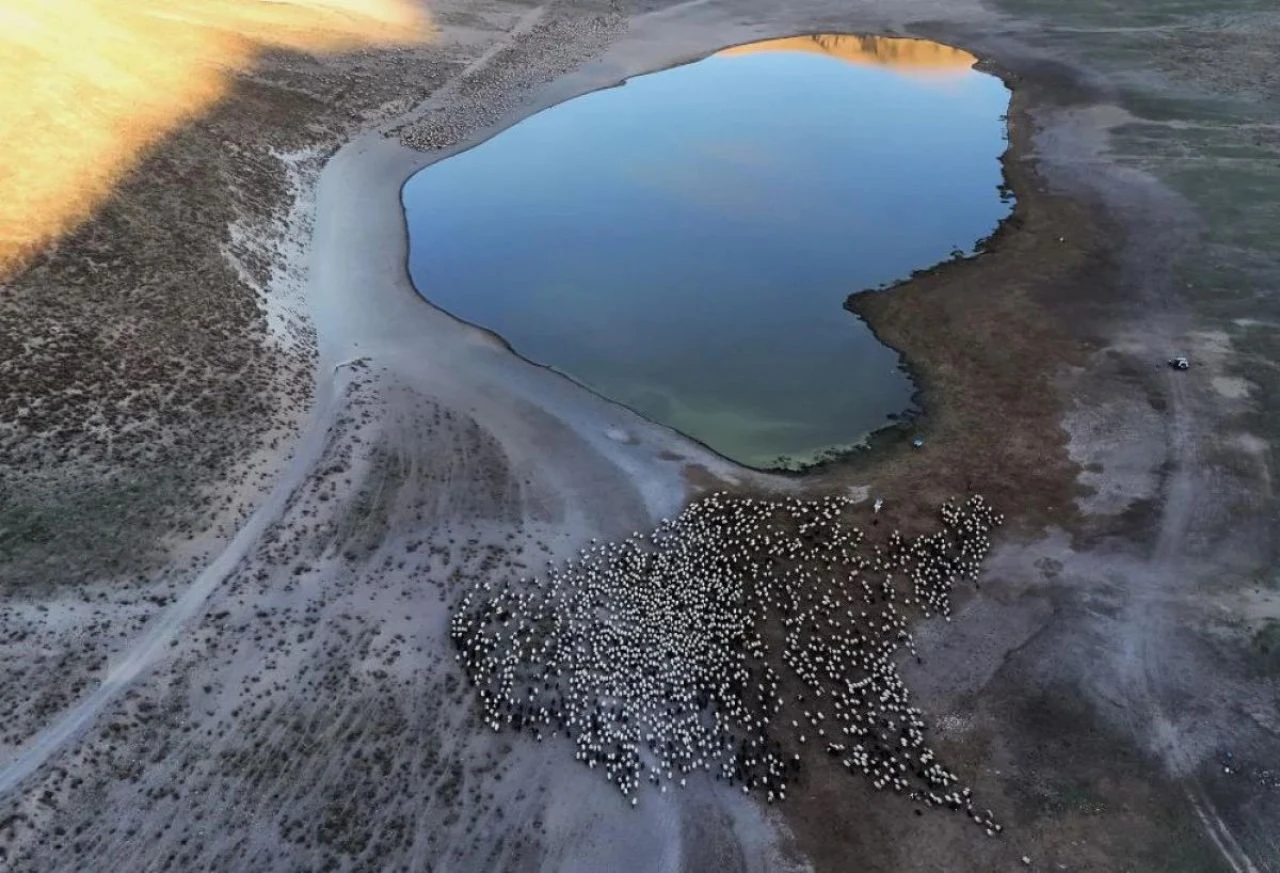 Film platosu değil Bitlis! Sürülerin yolculuğundan kartpostallık görüntüler - 1. Resim