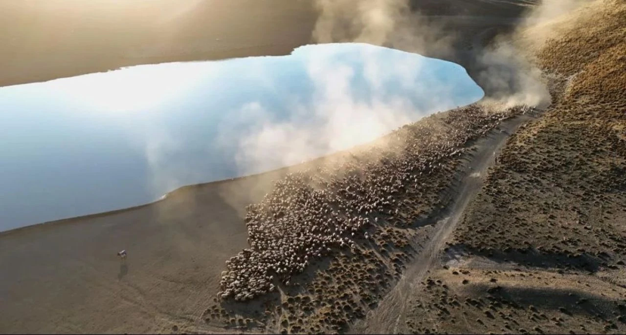 Film platosu değil Bitlis! Sürülerin yolculuğundan kartpostallık görüntüler - 3. Resim