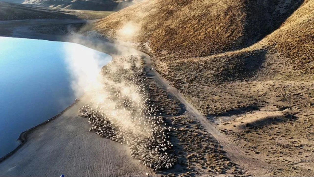 Film platosu değil Bitlis! Sürülerin yolculuğundan kartpostallık görüntüler - 5. Resim