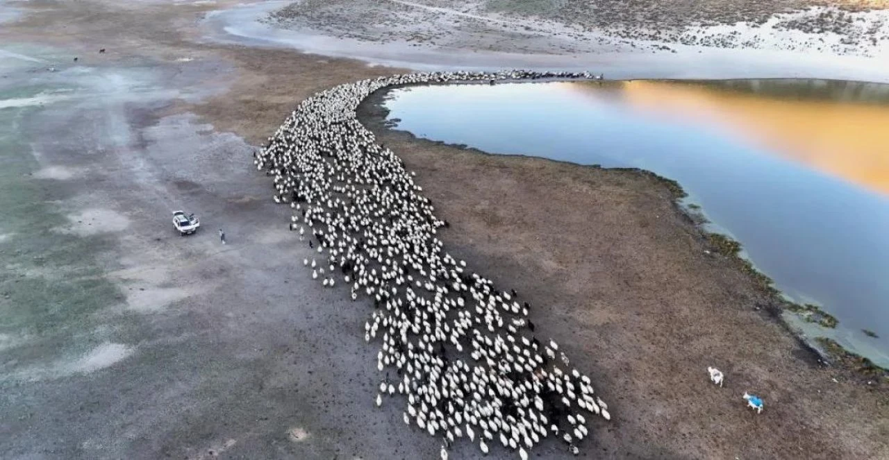 Film platosu değil Bitlis! Sürülerin yolculuğundan kartpostallık görüntüler - 2. Resim