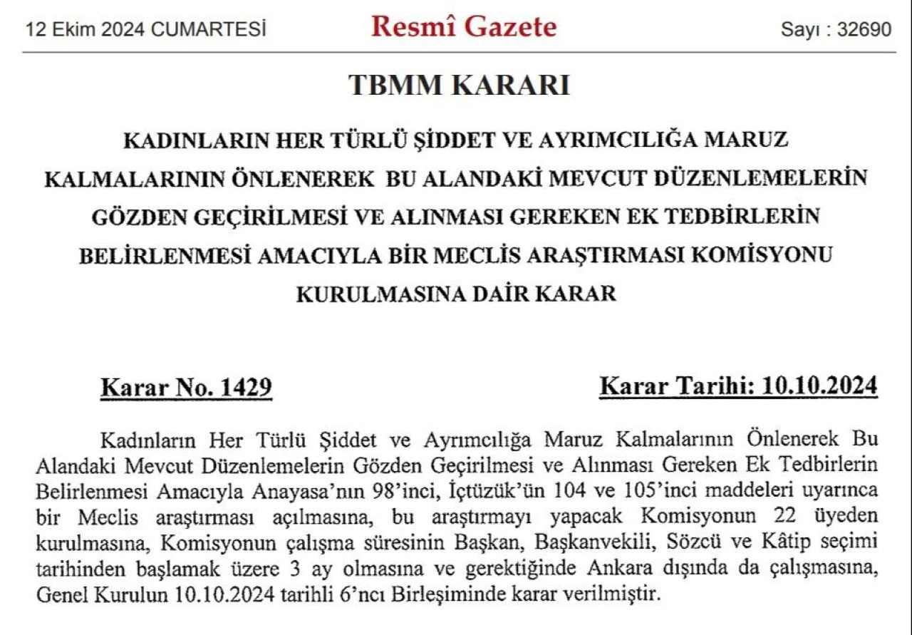 Kadına yönelik şiddete ilişkin TBMM'den karar geçti: Resmi Gazete'de yayımlandı - 1. Resim