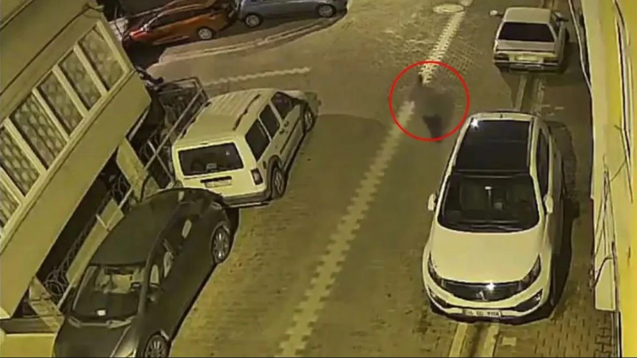 Yer Esenyurt! Çığlıkları sokağı inletti: Hamile kadına sokak ortasında taciz kamerada - 1. Resim