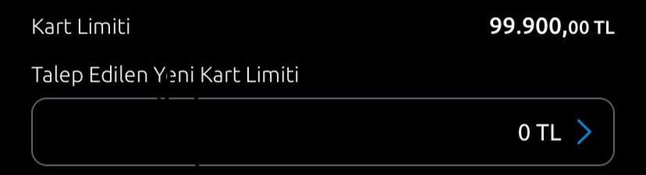 Kredi kartı limiti 100 bin TL olan vatandaşlar harekete geçti! Limiti 99.900 liraya çektiler - 4. Resim