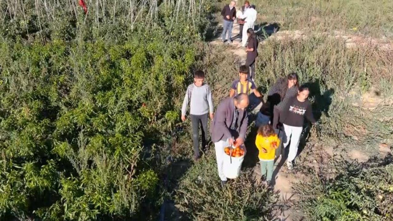 Marketleri pahalı bulan vatandaşların yeni durağı tarla: Bu kampanya çok konuşulur