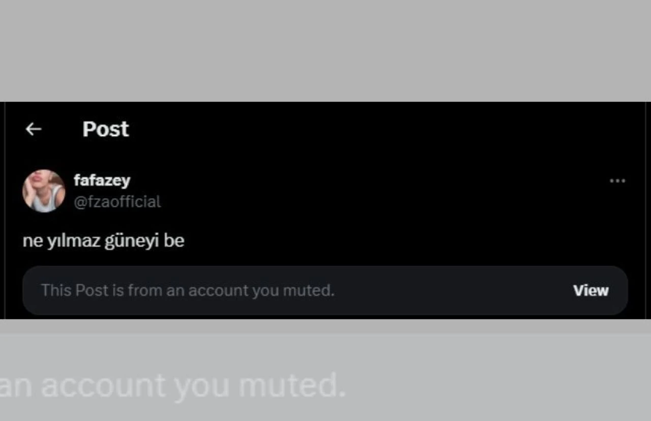 Antalya Altın Portakal Film Festivali sahiplerini buldu! Nur Sürer ile Farah Zeynep Abdullah birbirine girdi - 5. Resim