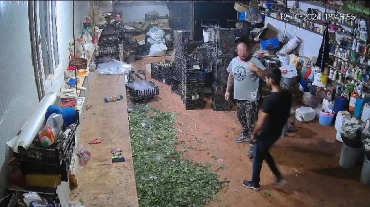 Antalya'da fotoğraf kavgası sert bitti! Tek yumrukta komalık etti