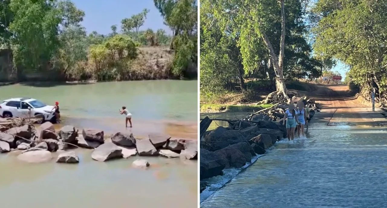 Timsah ülkesinde umarsız davranışlar uzuvları riske atıyor! Mükemmel fotoğrafın sonu ölüm olabilir