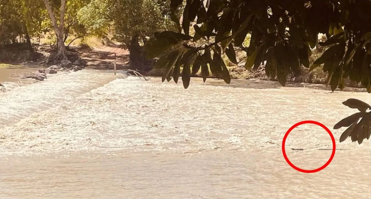 Timsah ülkesinde umarsız davranışlar uzuvları riske atıyor! Mükemmel fotoğrafın sonu ölüm olabilir