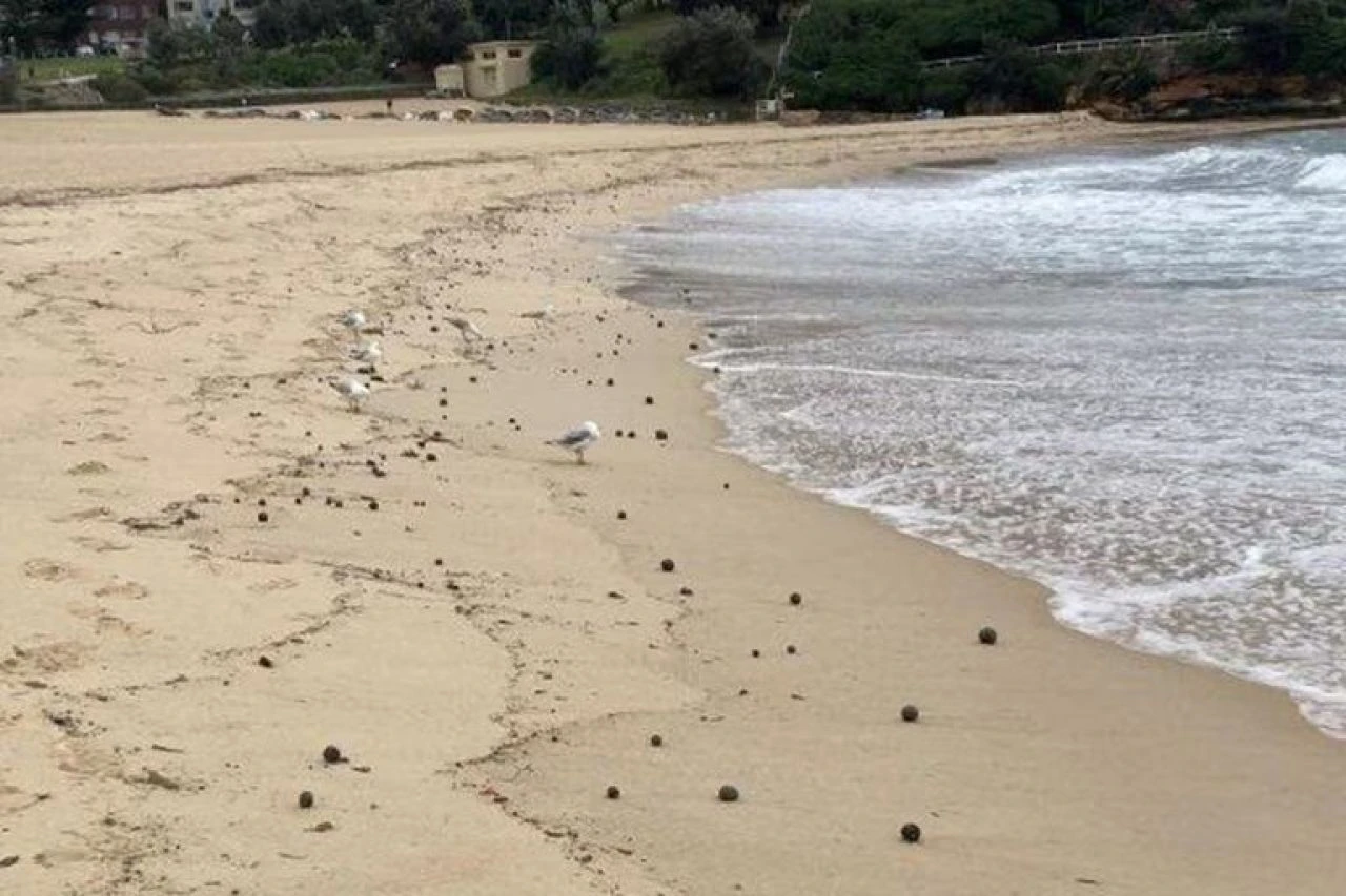 Sahili gizemli siyah toplar kapladı! Halka 'dokunmayın, yaklaşmayın' uyarıları yapıldı - 1. Resim