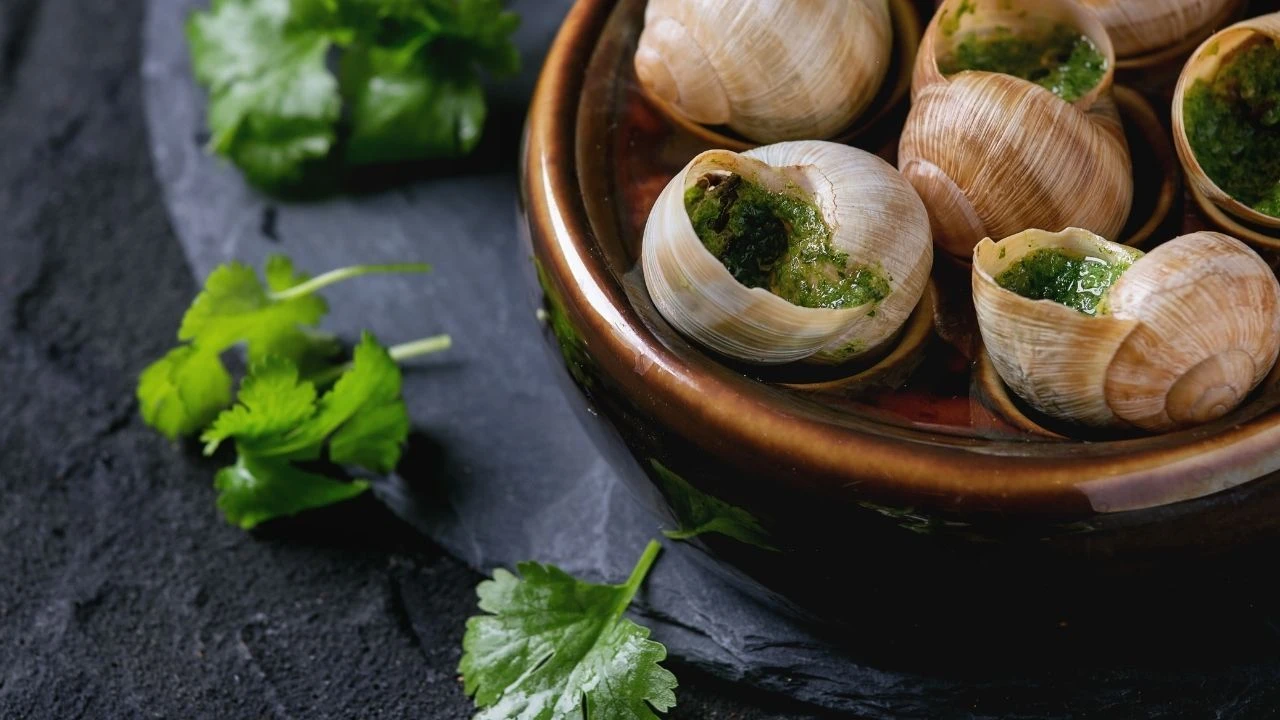 Sosyal medya videoları sonrası salyangoz yemenin dinimizdeki yeri gündeme geldi - 1. Resim