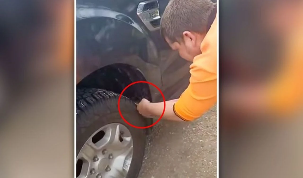 Arabadaki devasa davetsiz misafir şoke etti: Ülkenin en zehirli yılanlarından - 2. Resim