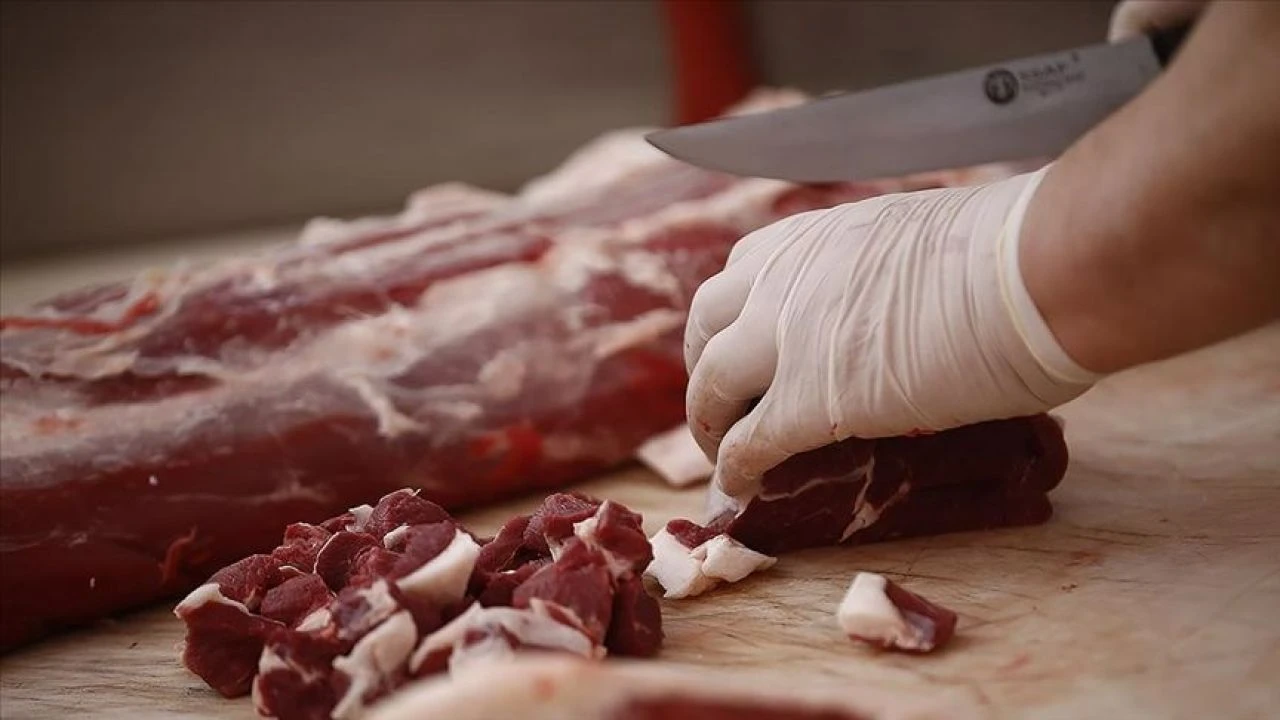 Geyik ve at eti helal mi? Tağşiş listesinden sonra gündem oldu - 3. Resim