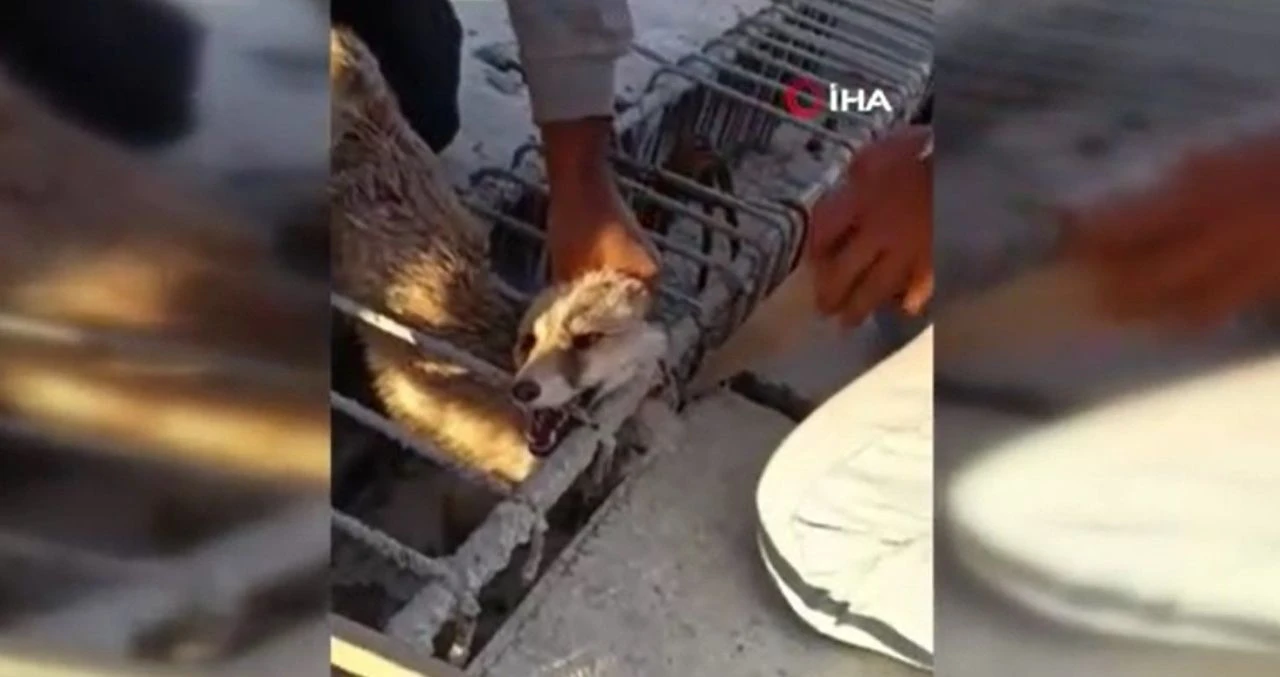 Son yılan bükücü Tuncay yine göreve çağrıldı - 1. Resim