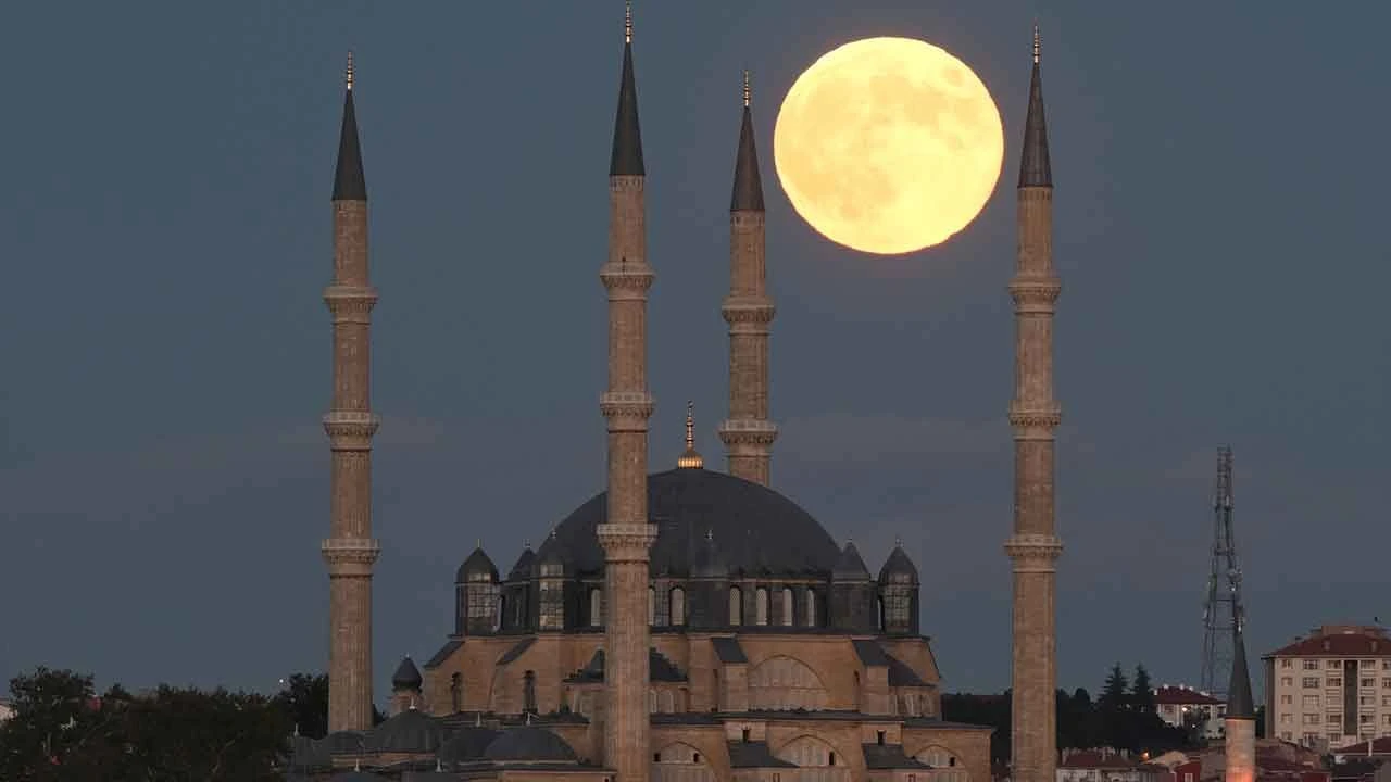 Yılın en dikkat çekici görüntüsü! Avcı ayı görsel şölen oluşturdu