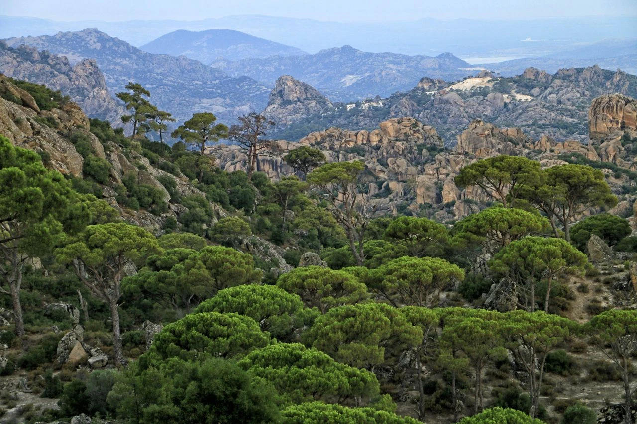 Dağ Gibi belgeselinin nerede çekildiği gündeme geldi - 2. Resim