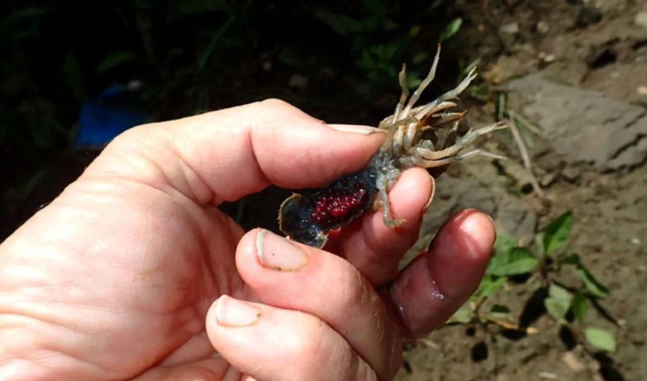 Evinin altında aniden bir çukur oluştu! Tüm ülke kadını şanslı ilan etti - 2. Resim