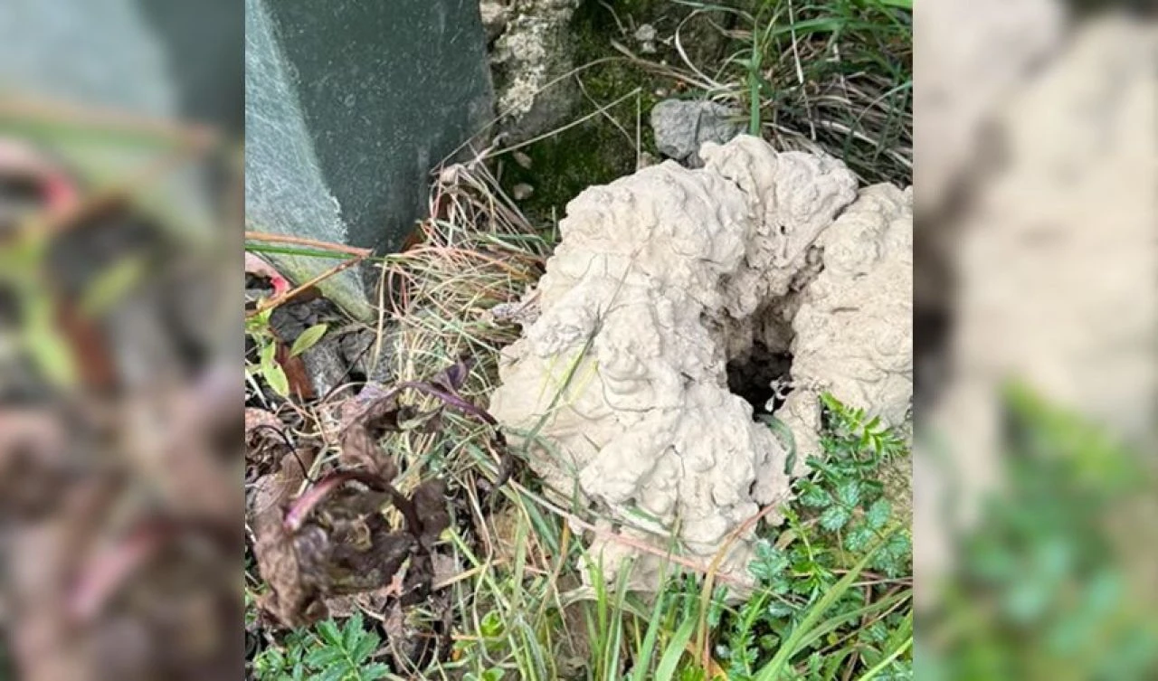 Evinin altında aniden bir çukur oluştu! Tüm ülke kadını şanslı ilan etti - 1. Resim