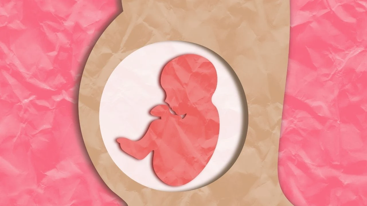 Kriptik hamilelik yaşayan Rus anne havalimanı tuvaletinde doğum yapmıştı! Belirtileri ve nasıl olduğu gündem oldu