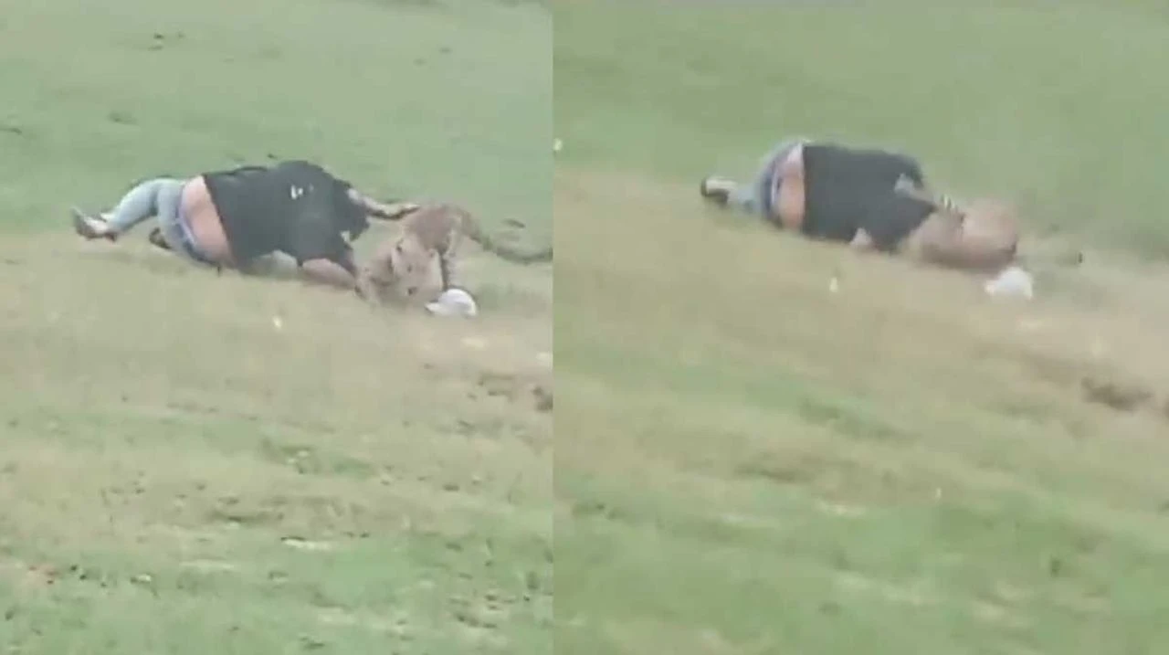 Leopar saldırısı kamerada: Ağaçların arasından fırladı, 3 kişiyi yaraladı! - 2. Resim