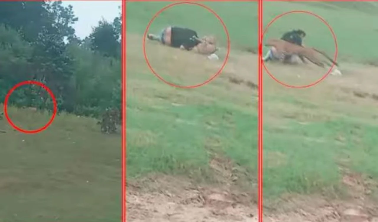 Leopar saldırısı kamerada: Ağaçların arasından fırladı, 3 kişiyi yaraladı! - 1. Resim
