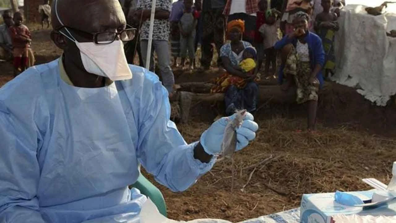 Nijerya'da Lassa ateşi hastalığı alarm veriyor: 21 kişi hayatını kaybetti - 1. Resim
