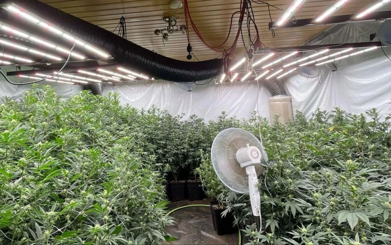 Almanya'da bir restoranda kokainli pizza servis edildi!