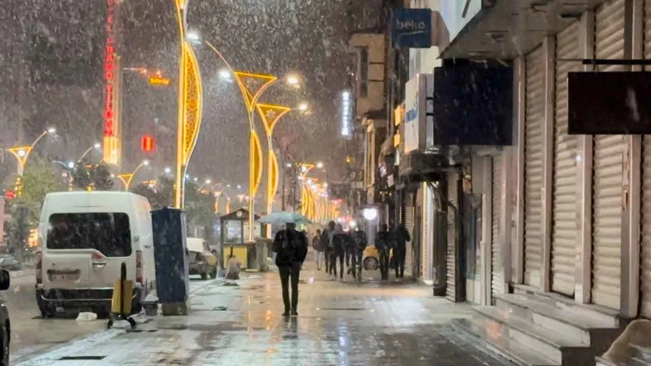Kış erken geldi: Yüksekova'da lapa lapa kar yağışı başladı