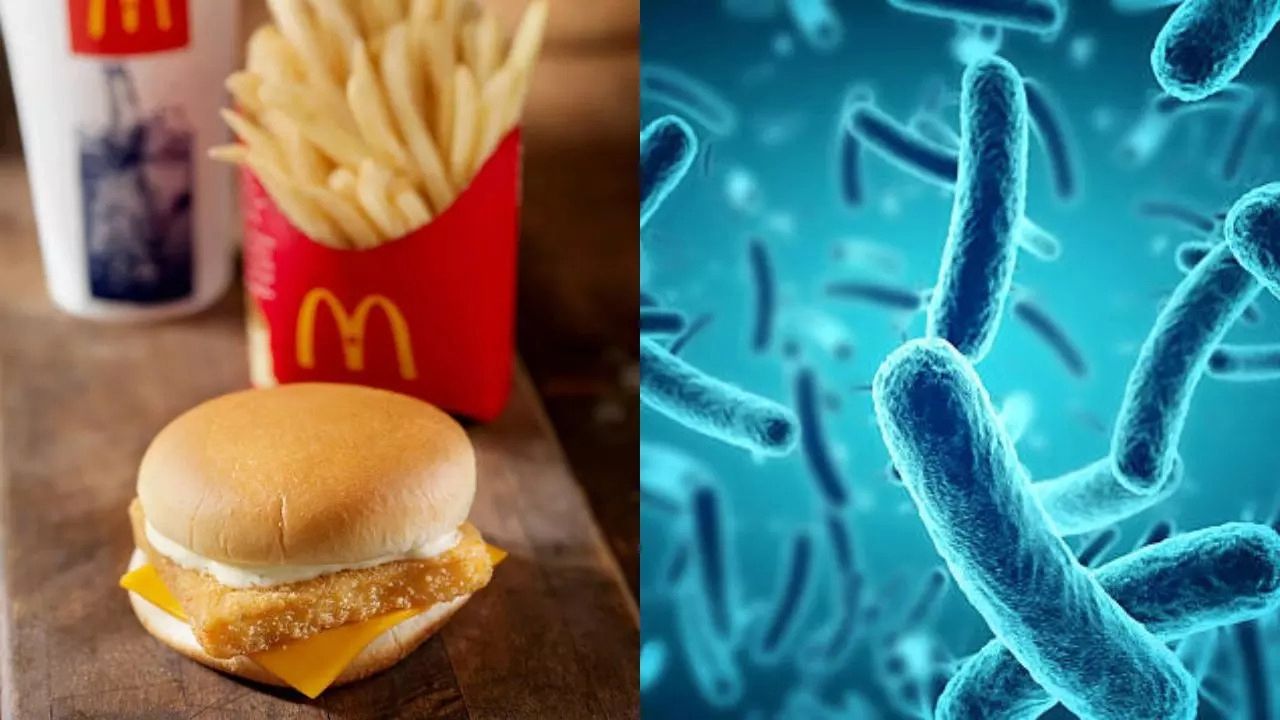 McDonald's hisseleri yerle bir oldu! Hamburgerdeki bakteri ölüme yol açmıştı - 1. Resim