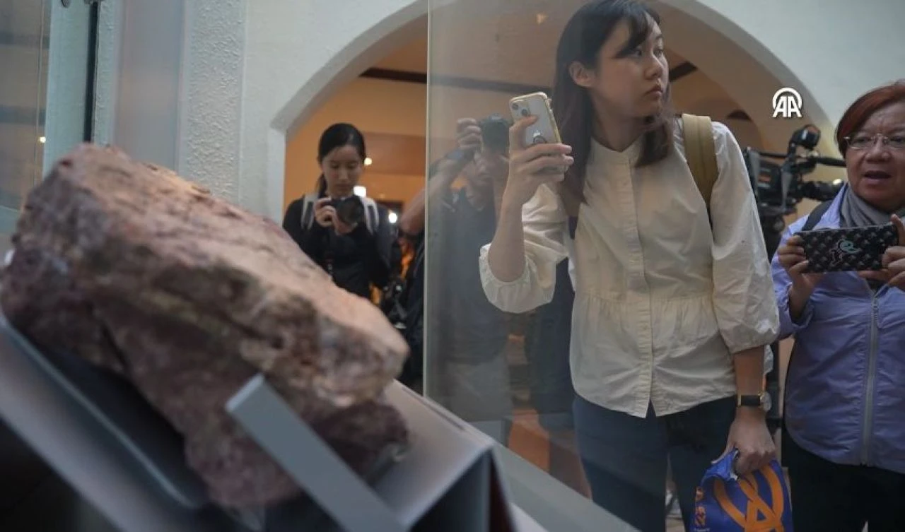 Hong Kong'da bir ilk! 145 milyon yaşında dinozor fosili bulundu - 2. Resim