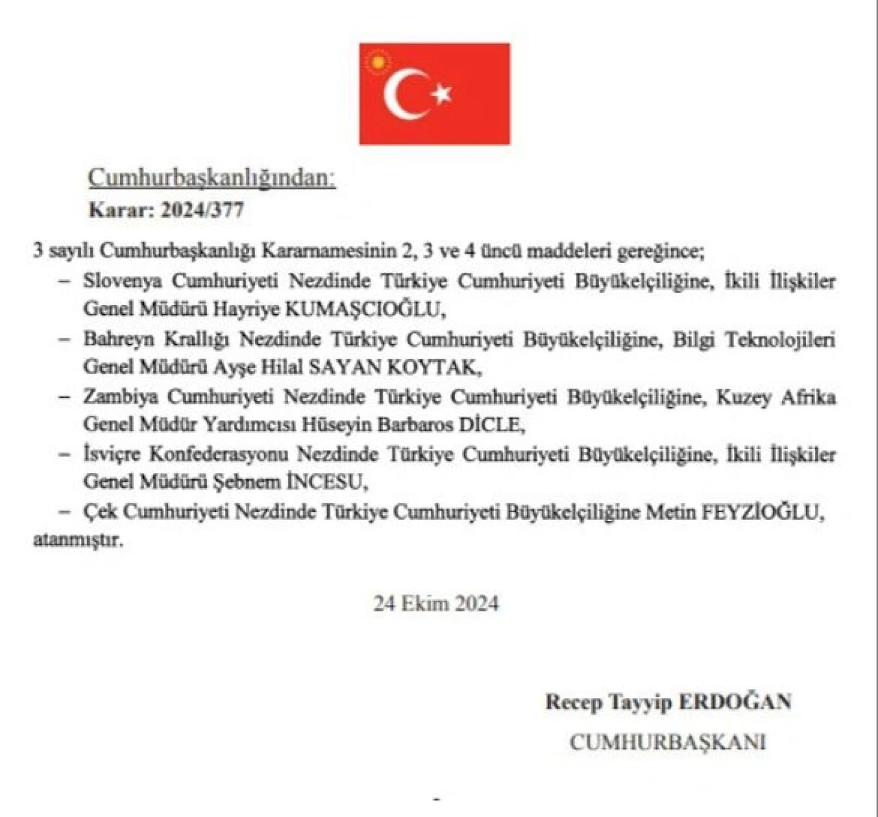 Çek Cumhuriyeti Büyükelçisi olan Metin Feyzioğlu'nun eskiden bulunduğu görevler