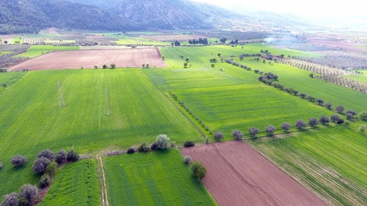 Tarla ve arsası olanlar dikkat! Harekete geçildi: İhaleye açılacak