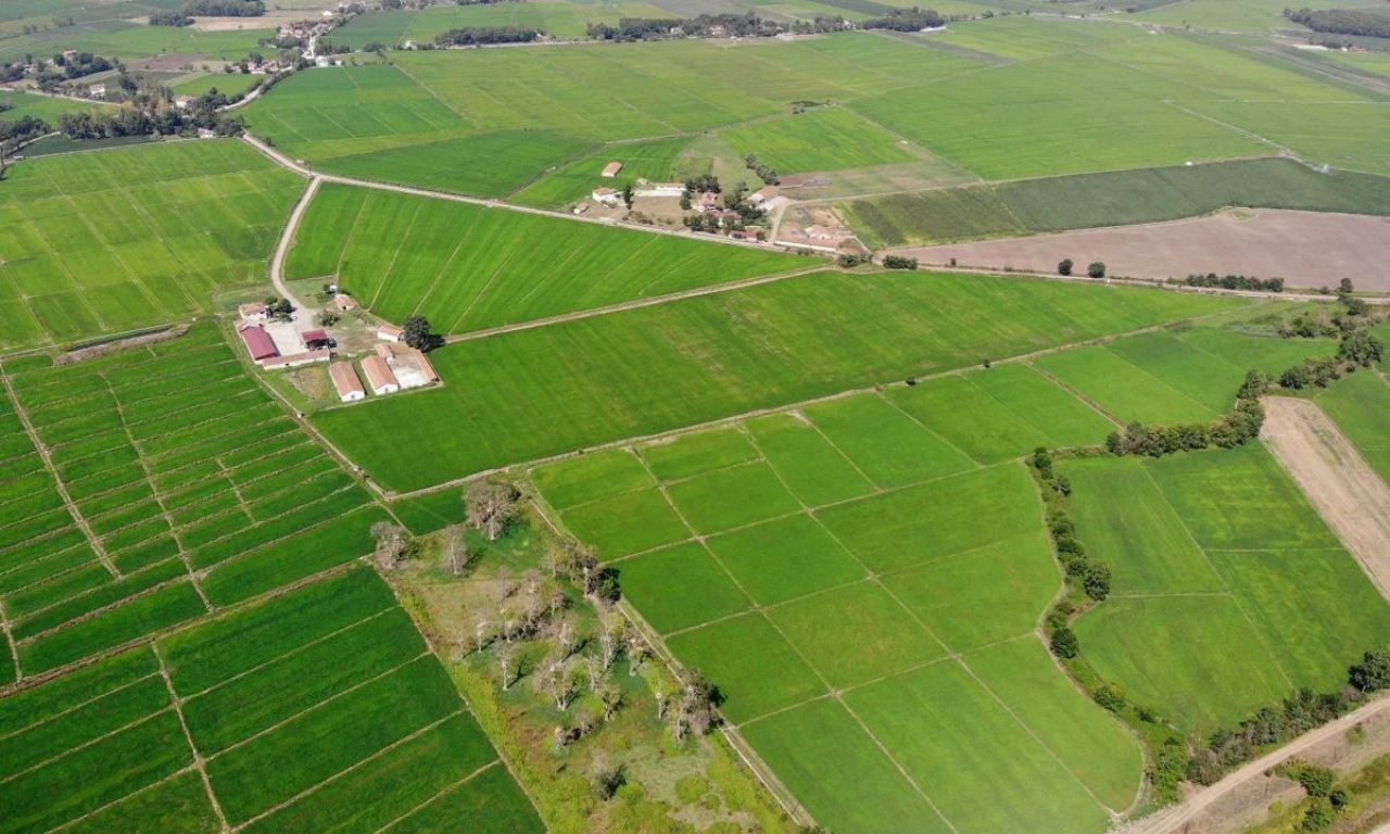 Tarlası ve arsası olanlar dikkat Hükümet harekete geçti: İhaleye açılacak - 1. Resim