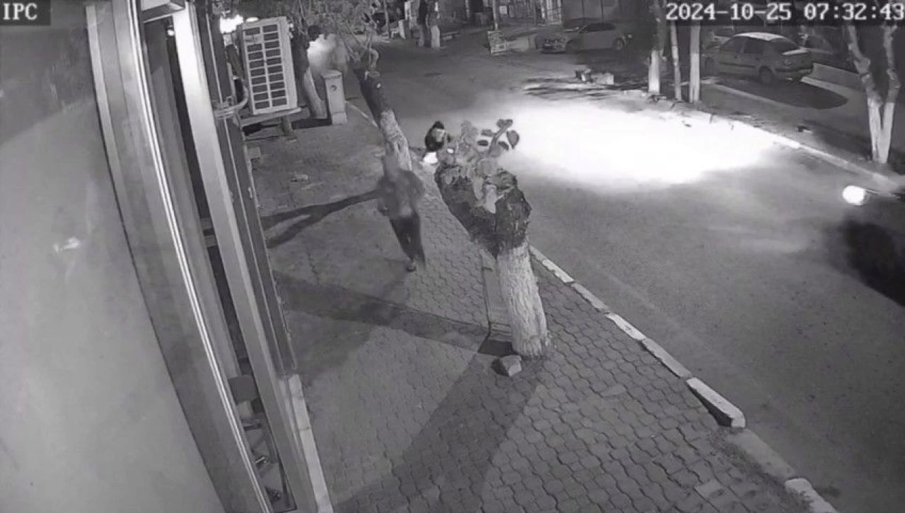 İzmir'de genç kız dehşeti yaşadı! Takıntılı komşu boynundan bıçakladı - 1. Resim