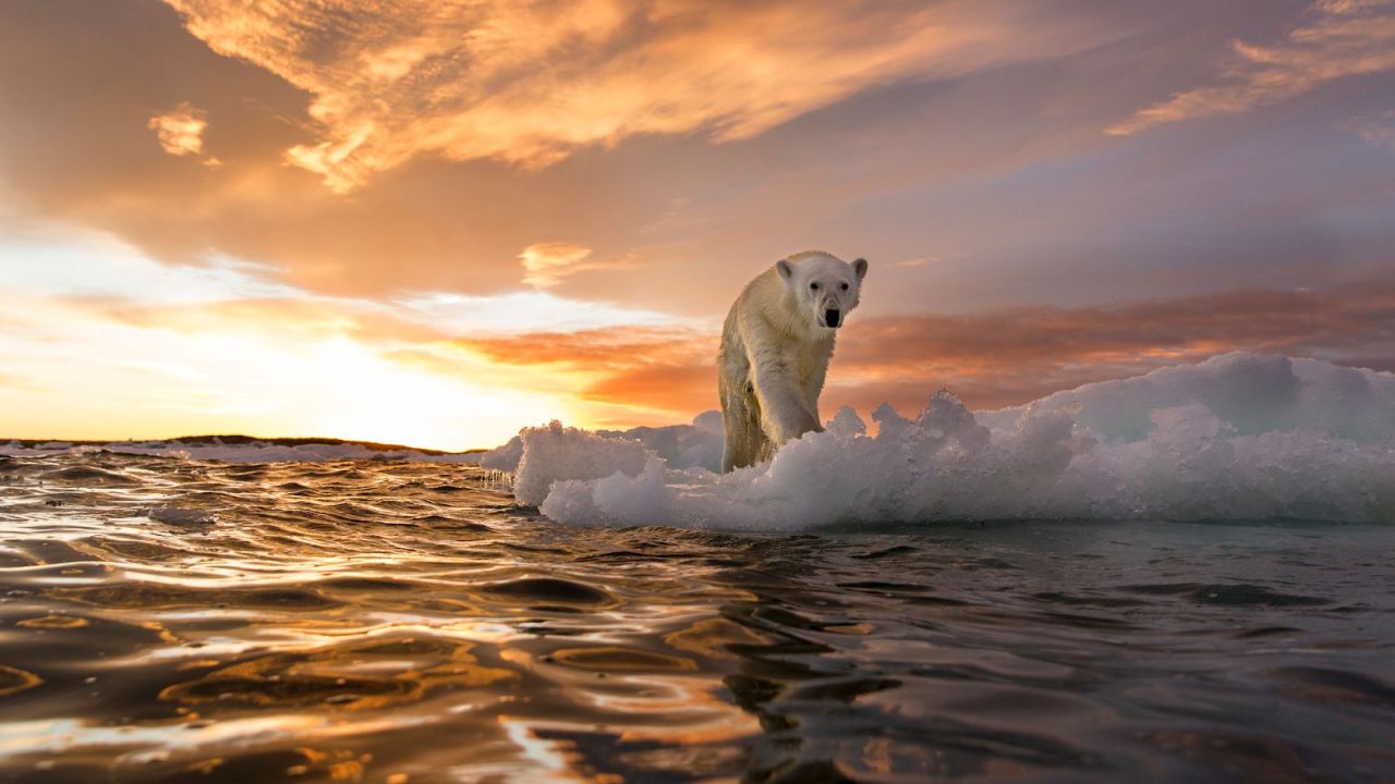 Klasik buzdolapları ve klimalar tarihe karışabilir! Yepyeni bir soğutma yöntemi bulundu - 3. Resim