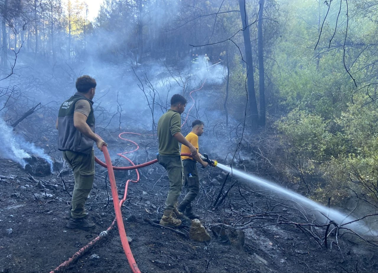Ormanlara giriş yasağı uzatıldı! Valilik karar aldı - 1. Resim
