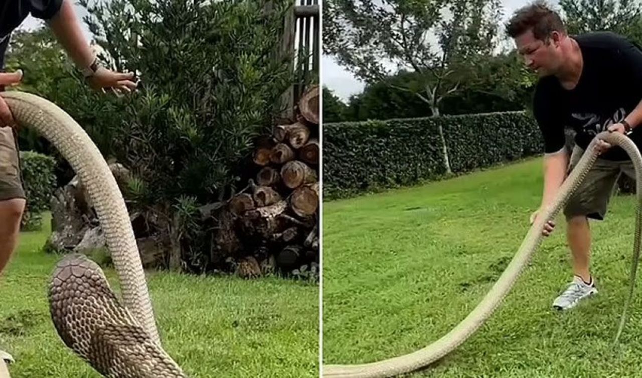 Yılan terbiyecisi olarak bilinen fenomen kobra ısırığıyla hayatını kaybetti! - 2. Resim