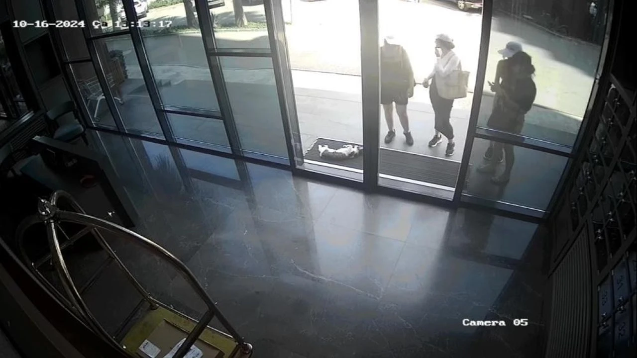 Bir milyon TL'lik altın çaldılar! Adana'daki kadın hırsız çetesi çökertildi - 2. Resim