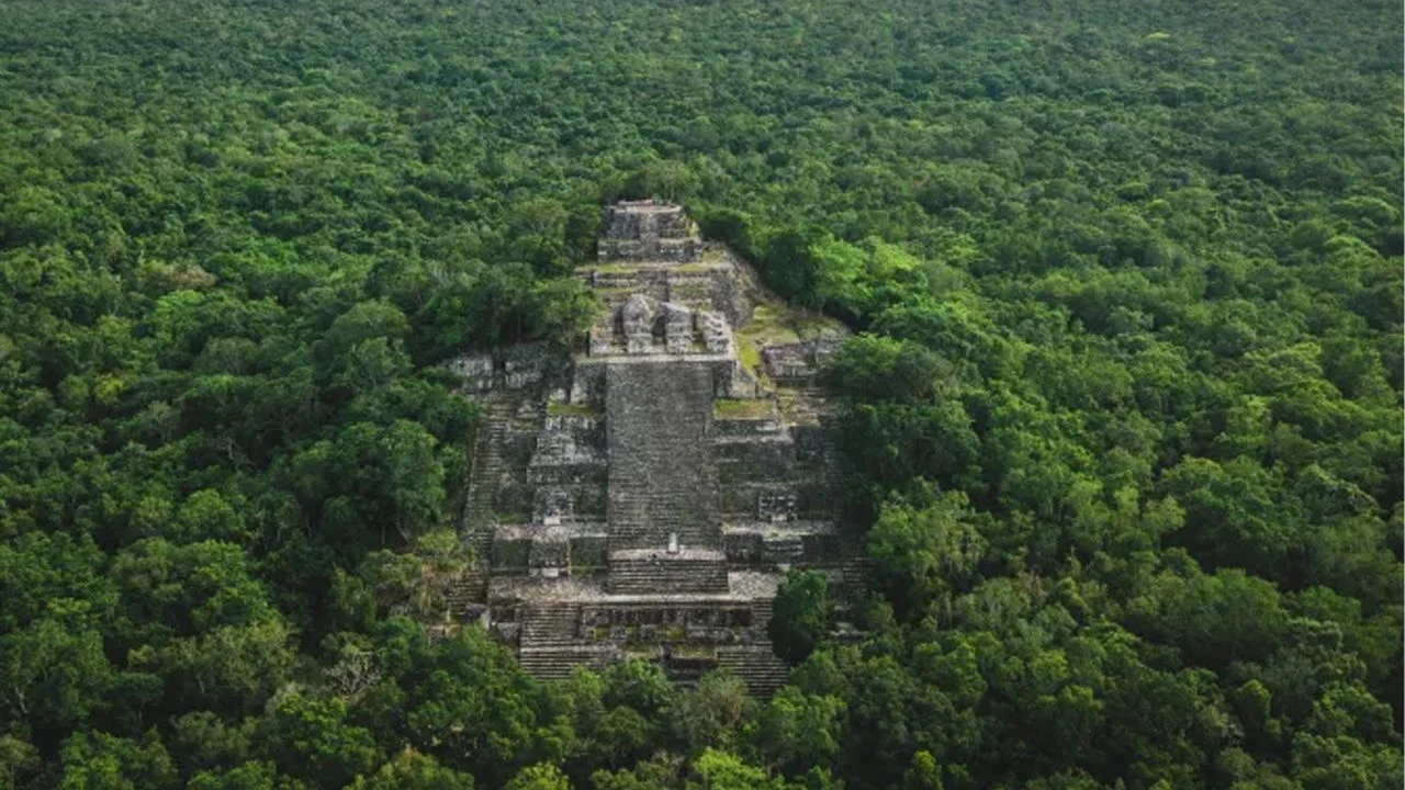 Meksika ormanlarında büyük Maya şehri tesadüfen keşfedildi! Genç arkeolog tarihe geçti - 1. Resim
